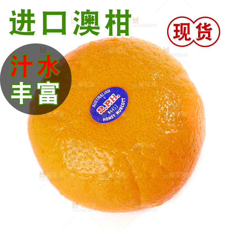 白底上放着新鲜澳柑