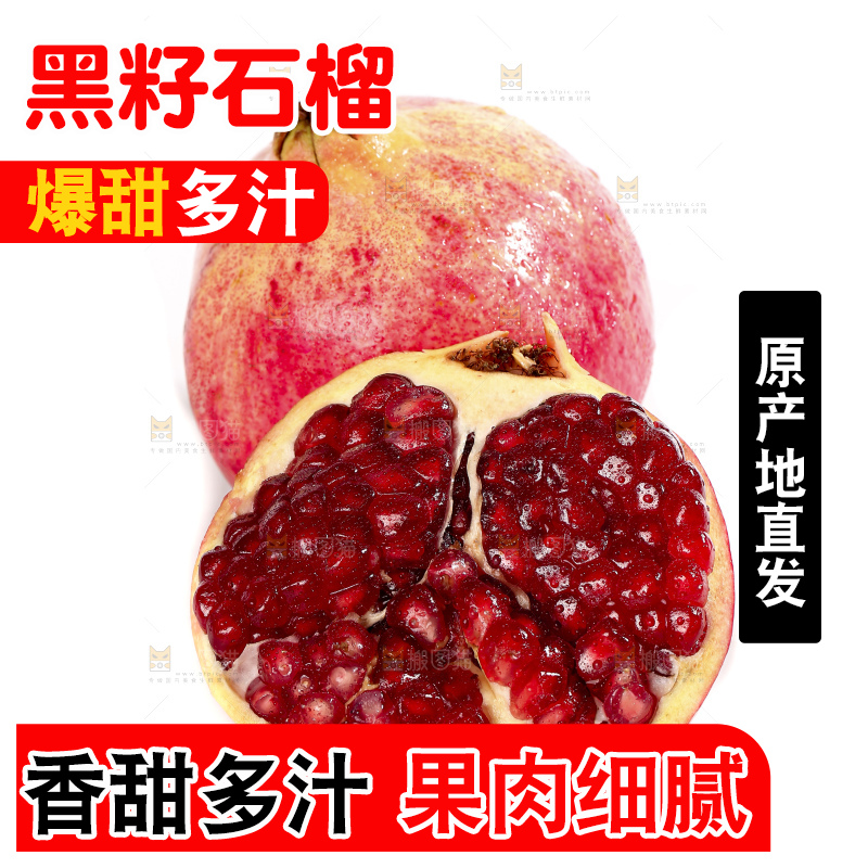 白底上的突尼斯软籽石榴