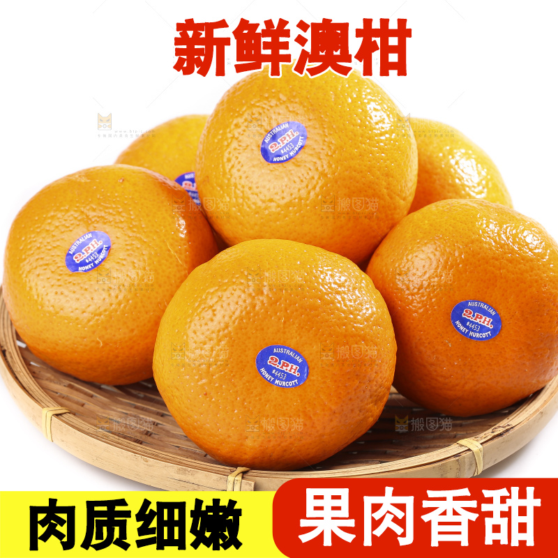 白底上放着新鲜澳柑