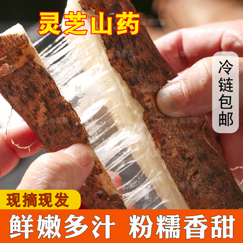 手里拉丝的灵芝山药