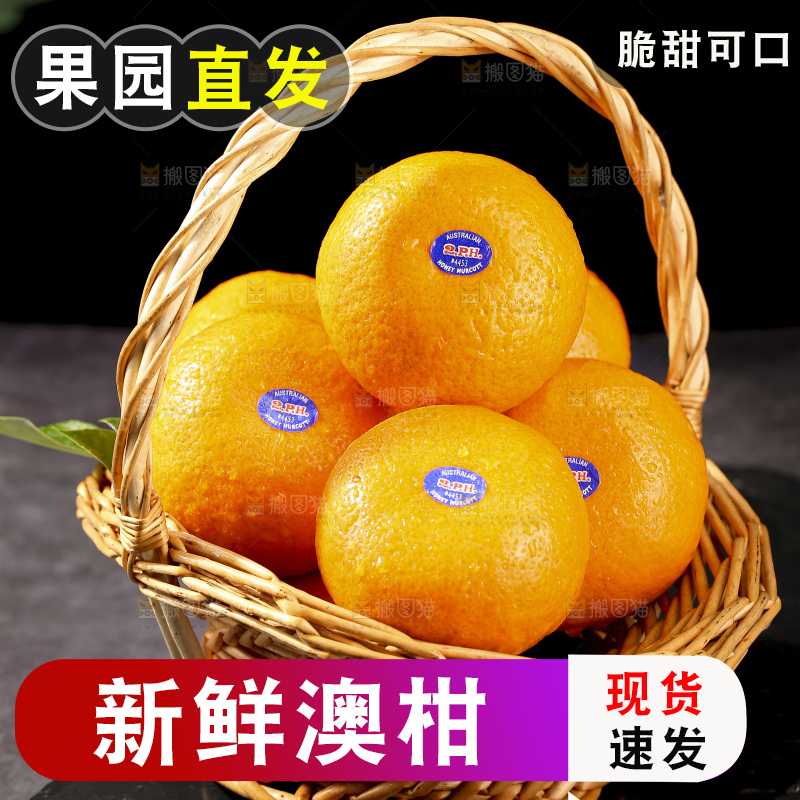 深底上的澳柑