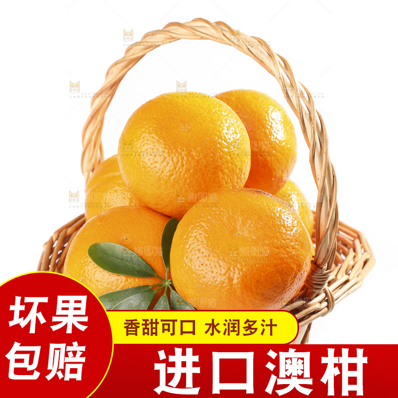 白底上放着新鲜澳柑