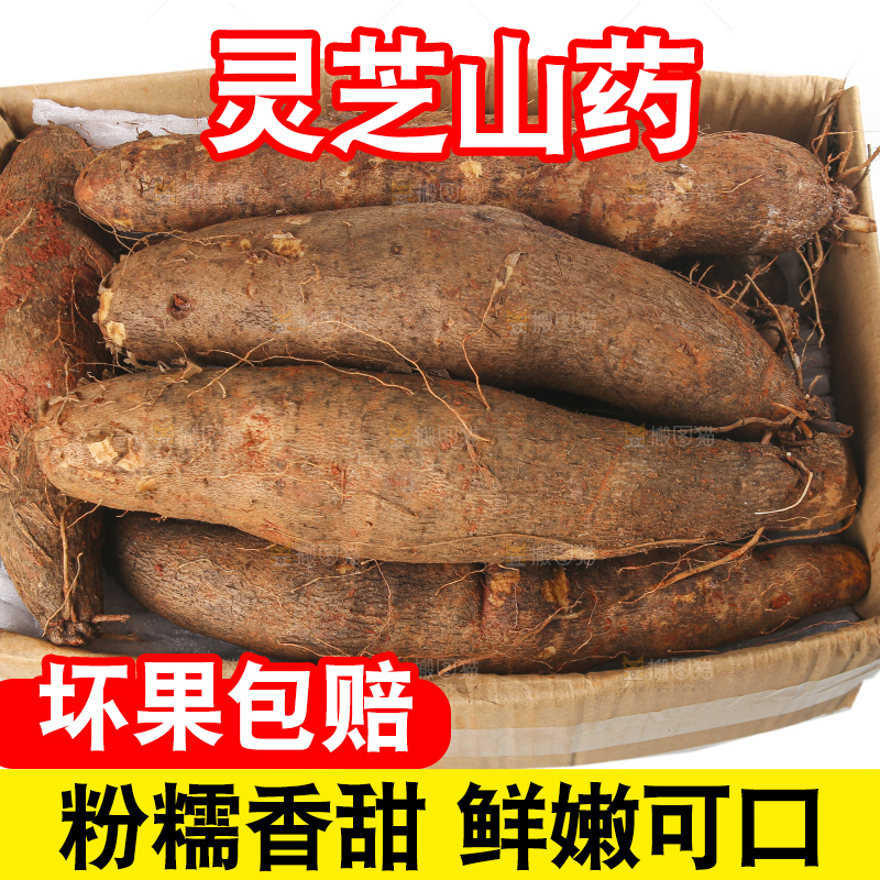 白底上放着灵芝山药