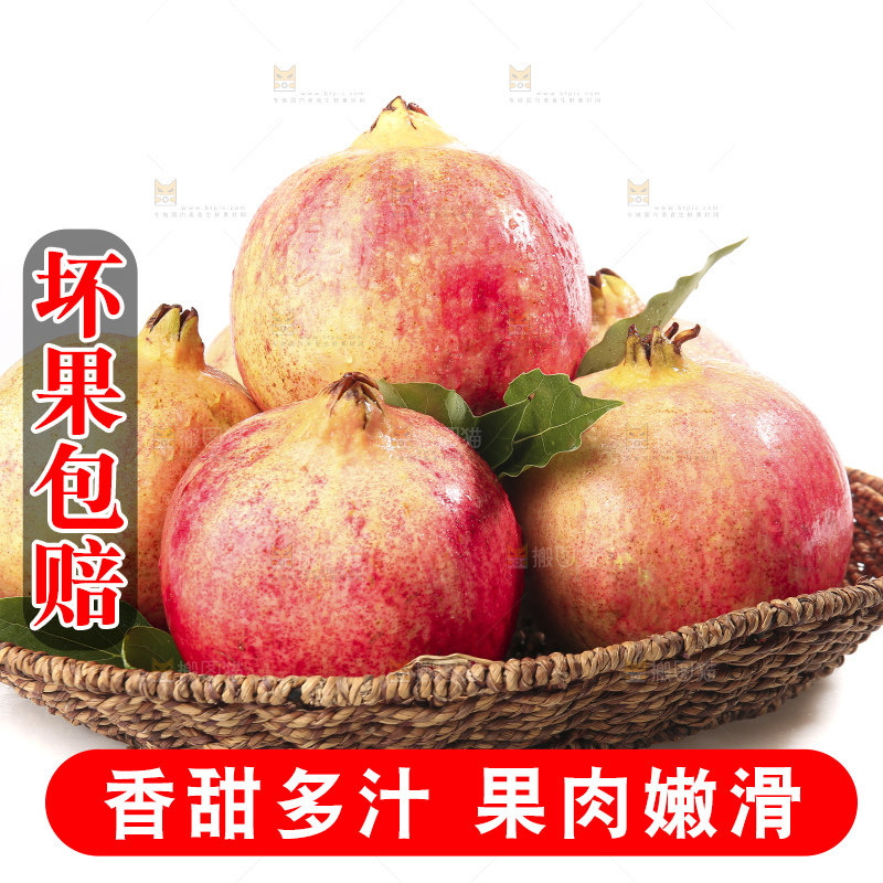 白底上的突尼斯软籽石榴