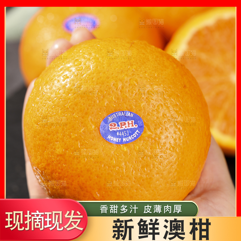 深底上的澳柑