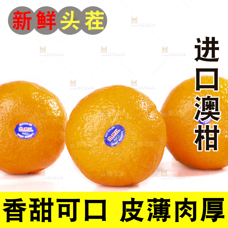 白底上放着新鲜澳柑