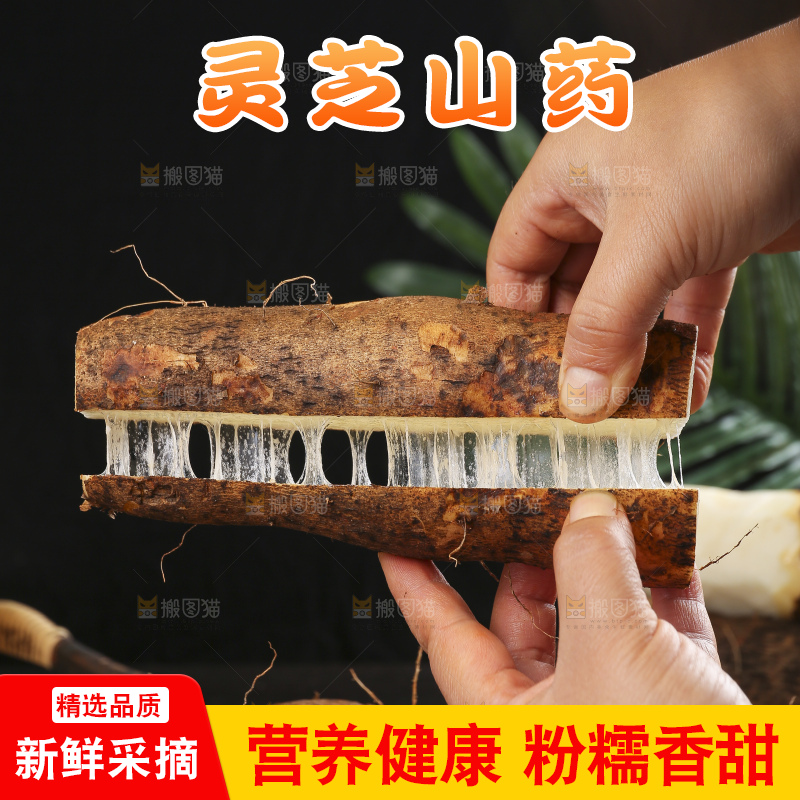 深底上的灵芝山药