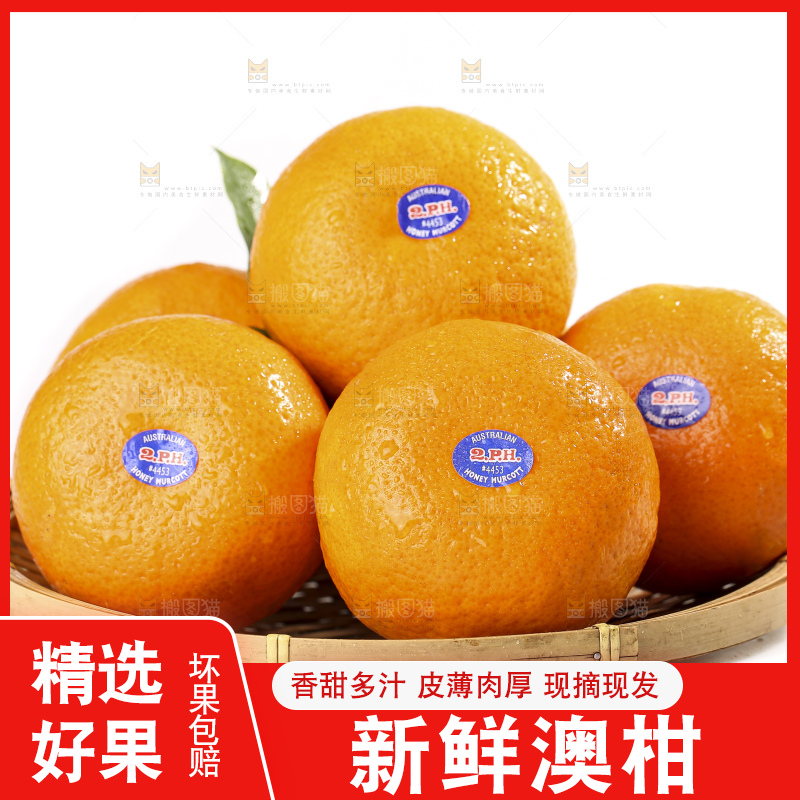 白底上放着新鲜澳柑