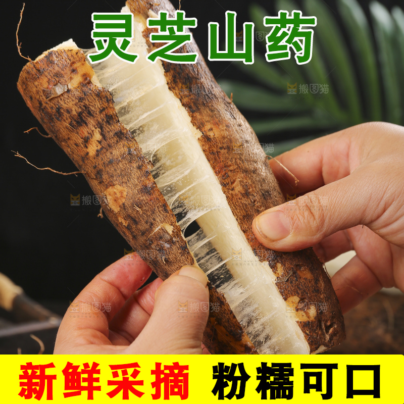 深底上的灵芝山药