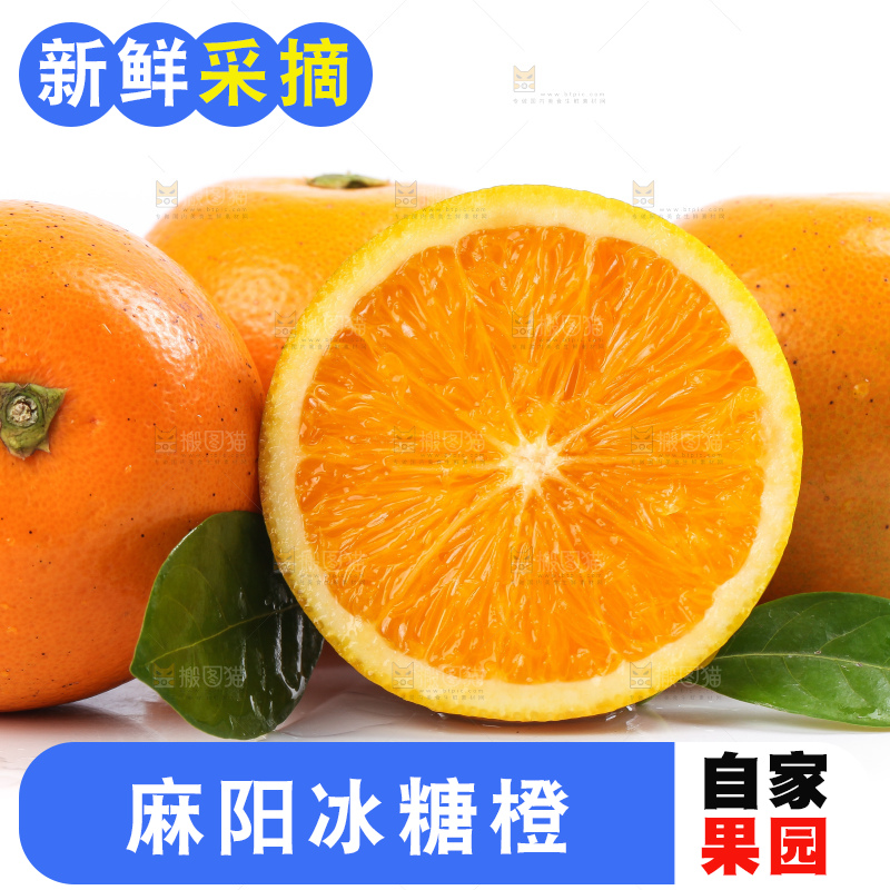 白底上的麻阳冰糖橙
