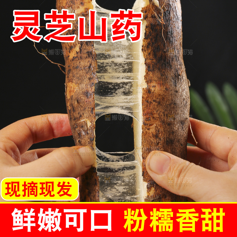 深底上的灵芝山药