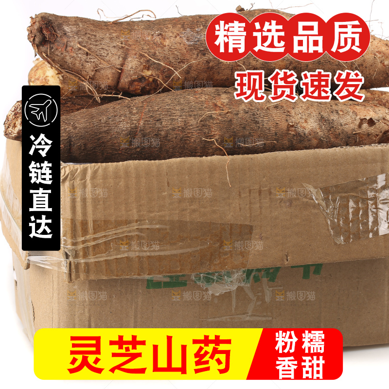 白底上的云南灵芝山药