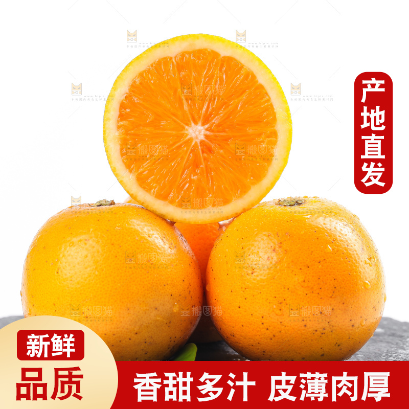 白底上的麻阳冰糖橙
