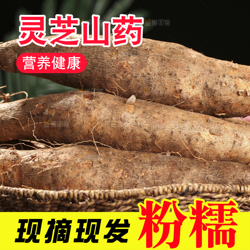 深底上放着灵芝山药