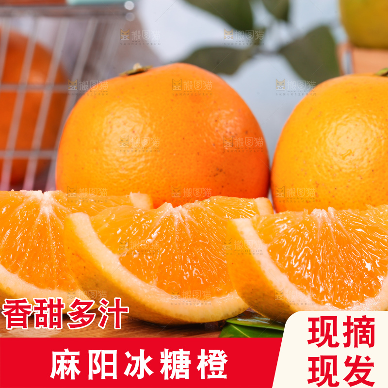 浅底上的麻阳冰糖橙