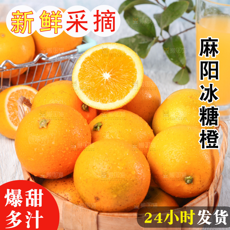 浅底上的麻阳冰糖橙