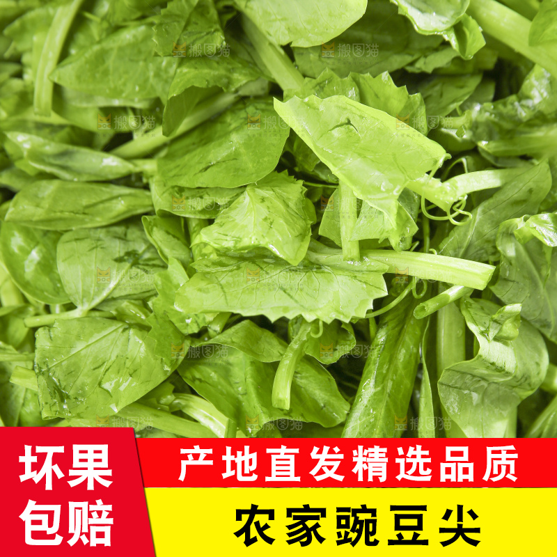 深底上的豌豆尖