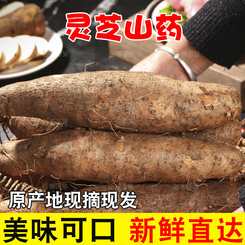 深底上放着灵芝山药
