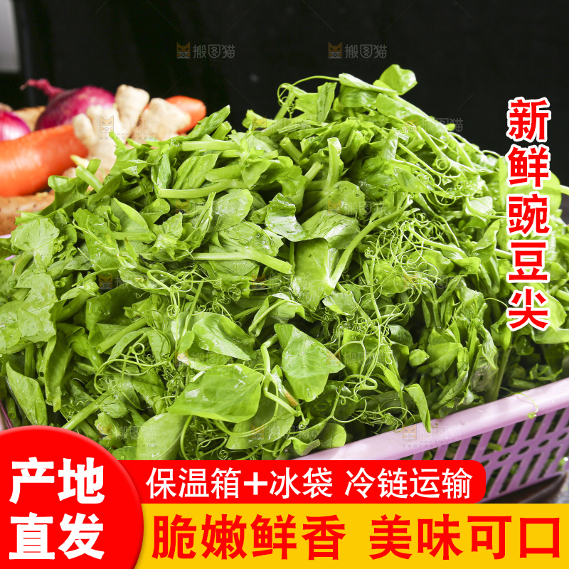 深底上的豌豆尖