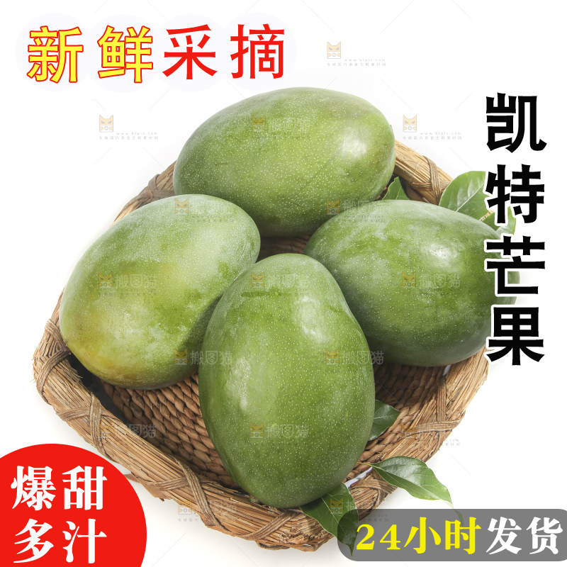 白底上的青皮凯特芒
