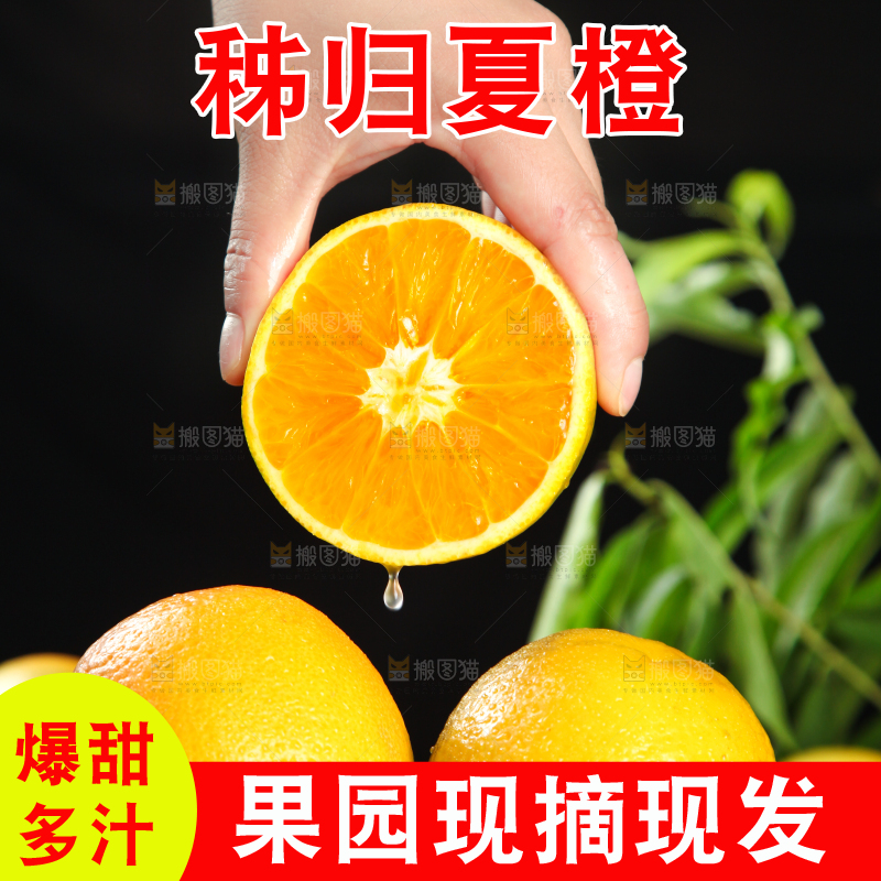 深底上放着夏橙
