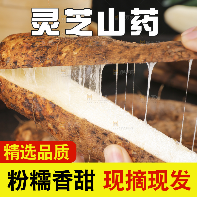 深底上的灵芝山药