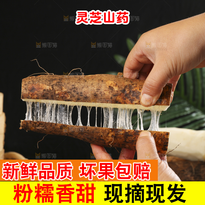 深底上的灵芝山药