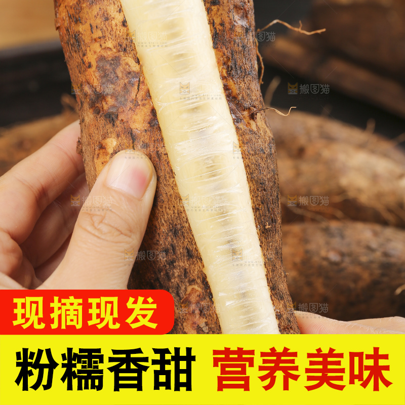 深底上的灵芝山药