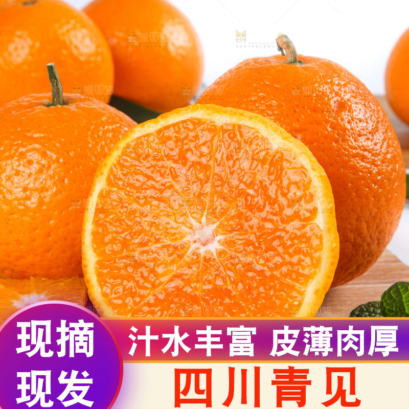 白底上放着青见柑橘