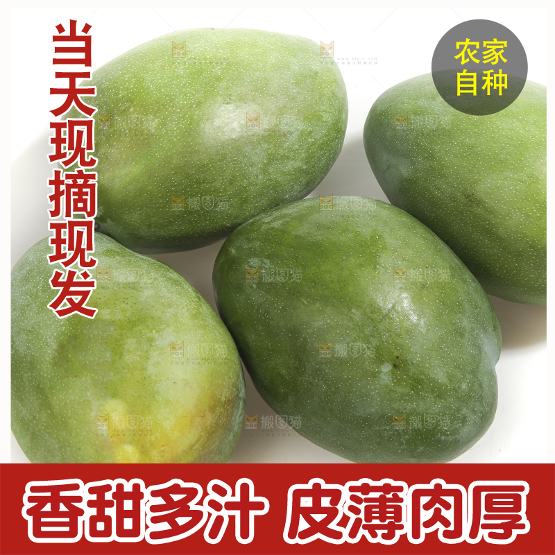 白底上的青皮凯特芒
