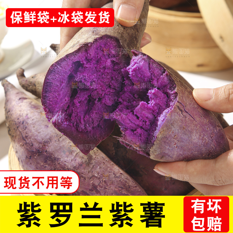 浅底上的板栗紫薯