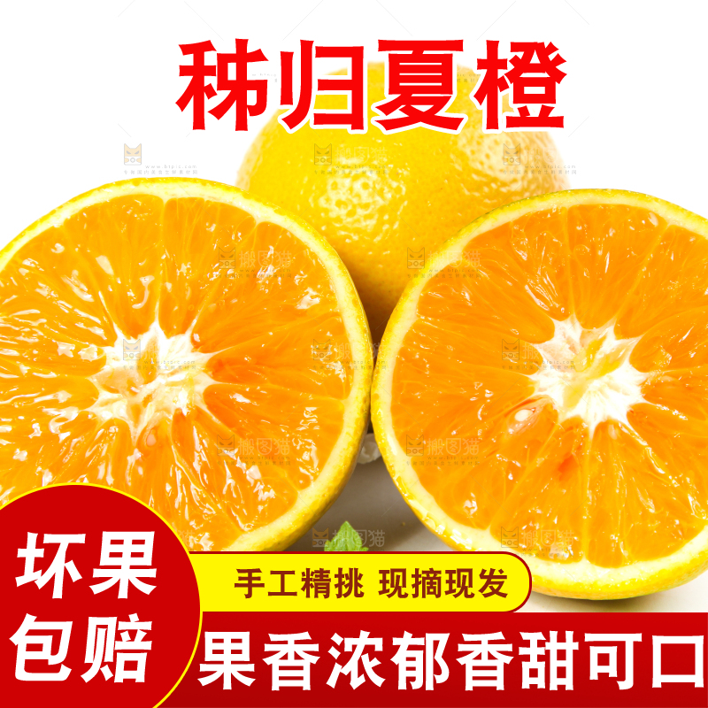 白底上放着的夏橙