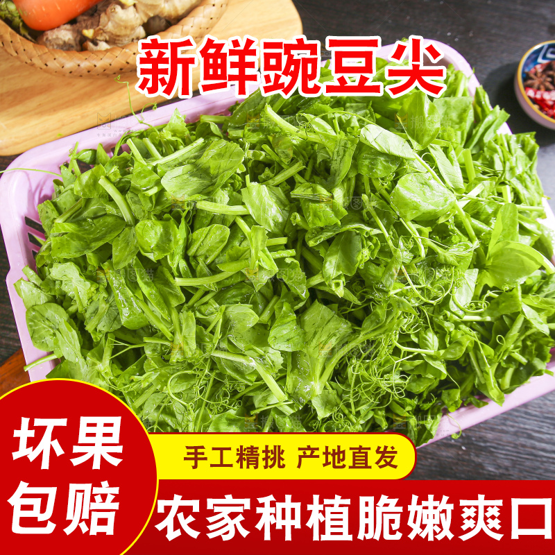 深底上的豌豆尖