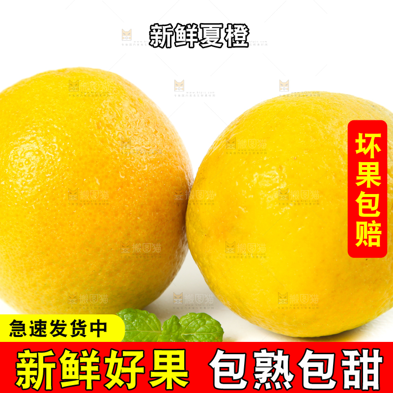 白底上放着的夏橙