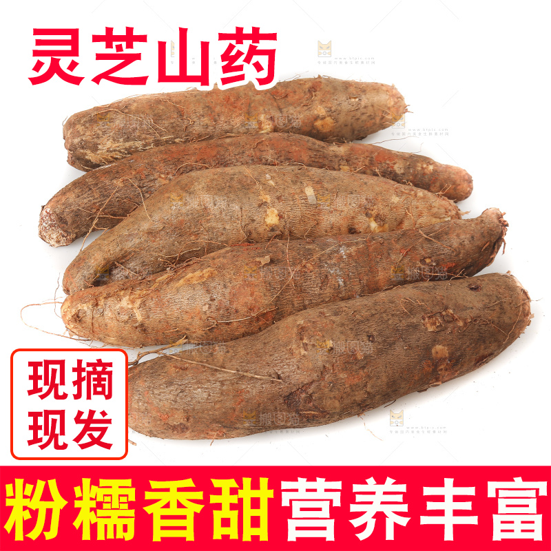 白底上放着灵芝山药