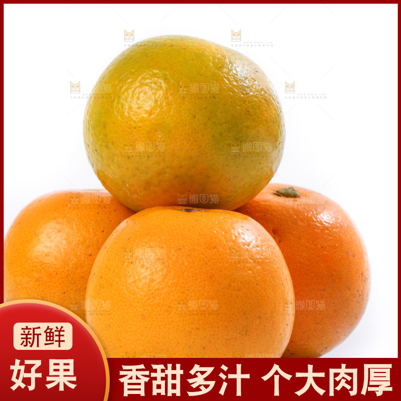 白底上的麻阳冰糖橙