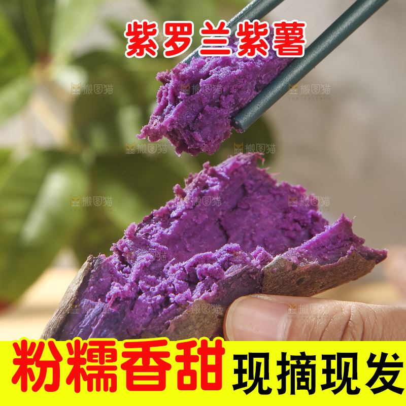浅底上的板栗紫薯