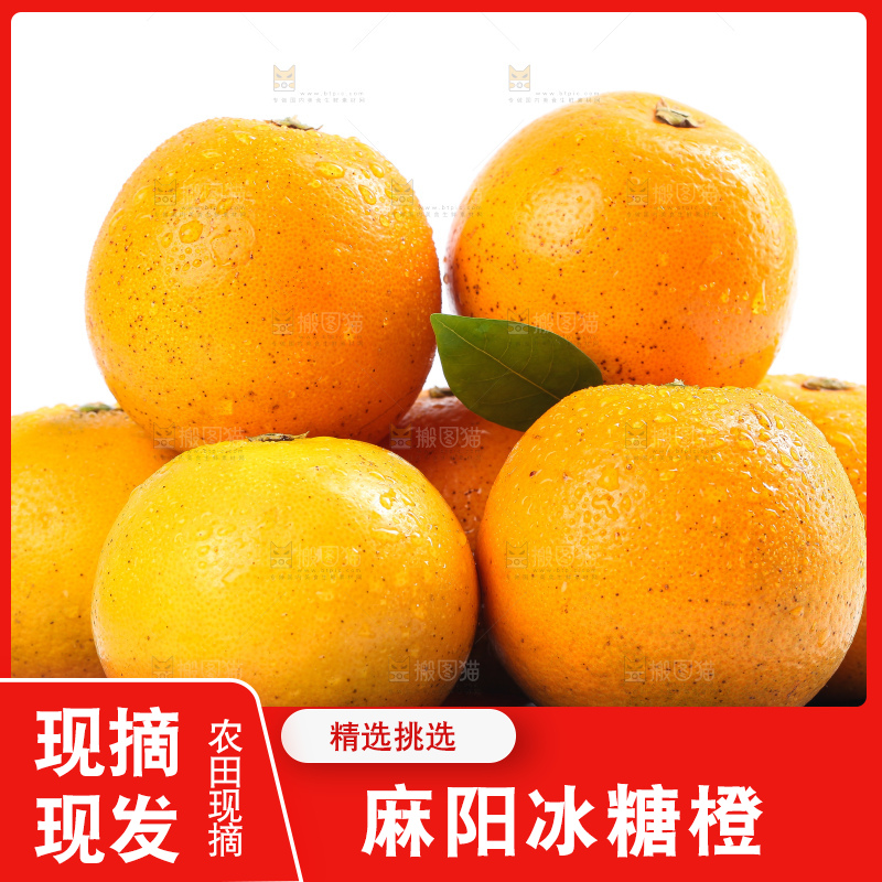 白底上的麻阳冰糖橙