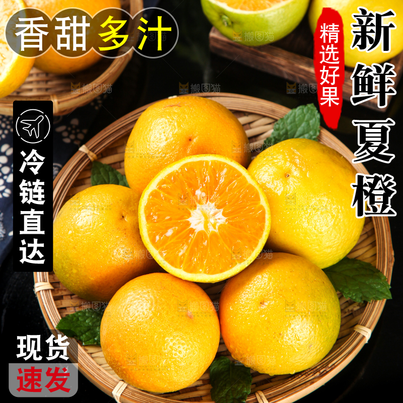 深底上放着夏橙
