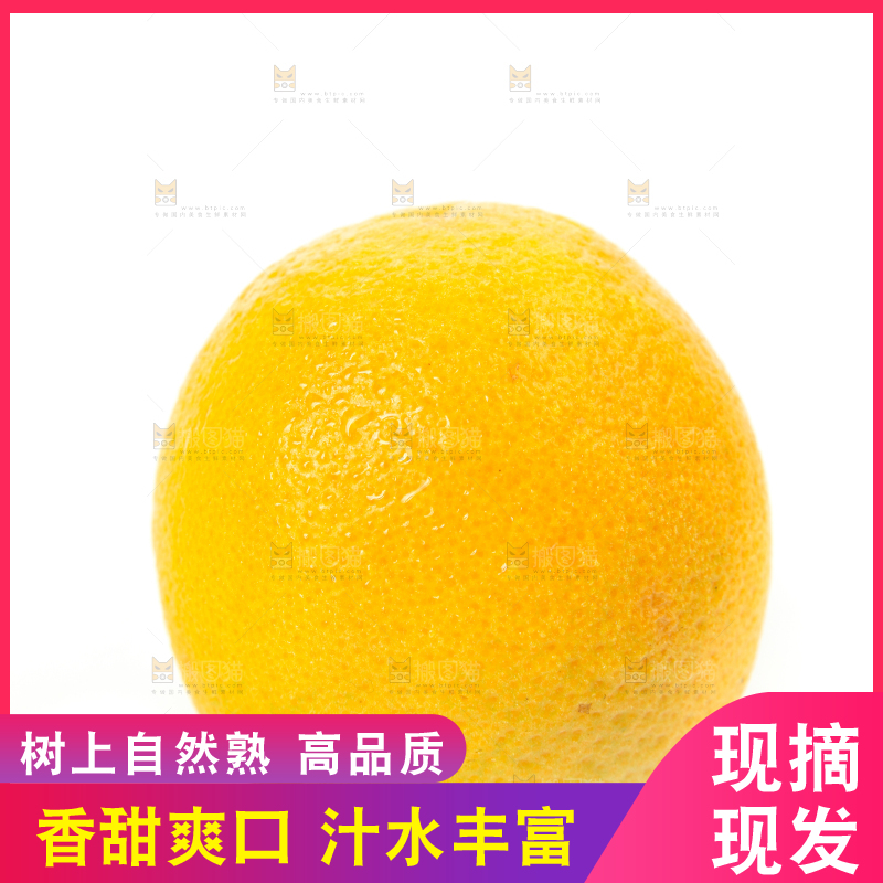 白底上放着的夏橙