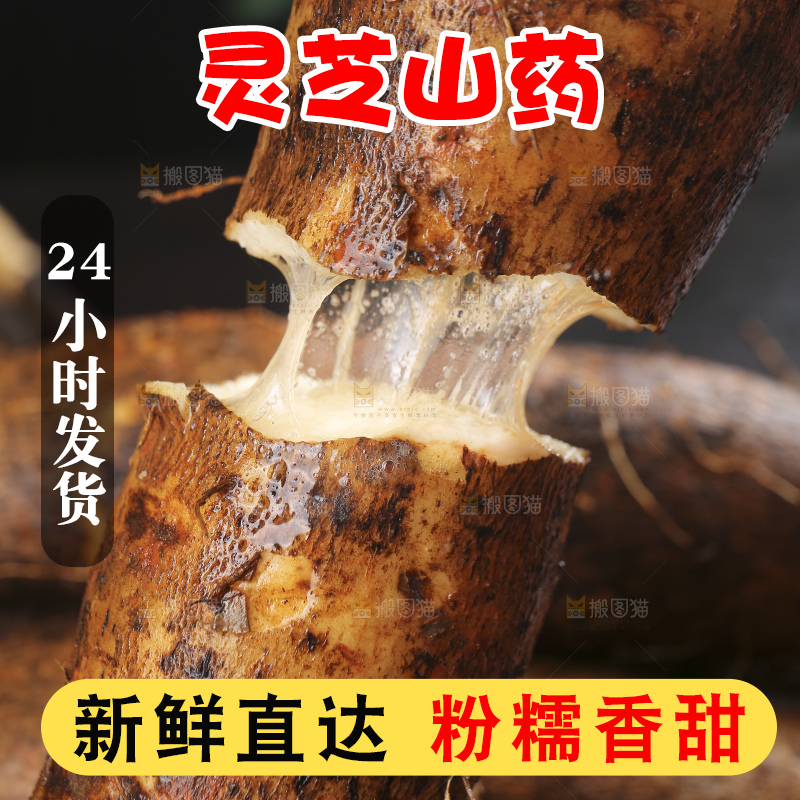 深底上的灵芝山药