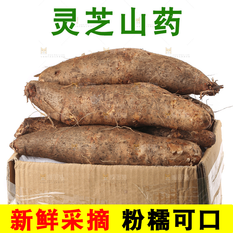 白底上的云南灵芝山药