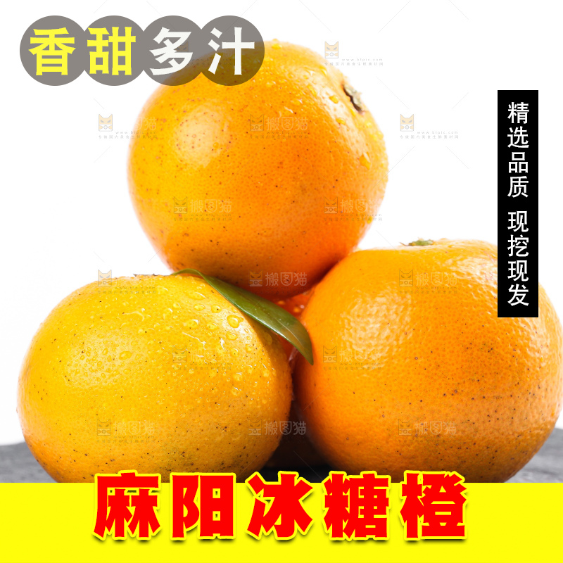 白底上的麻阳冰糖橙