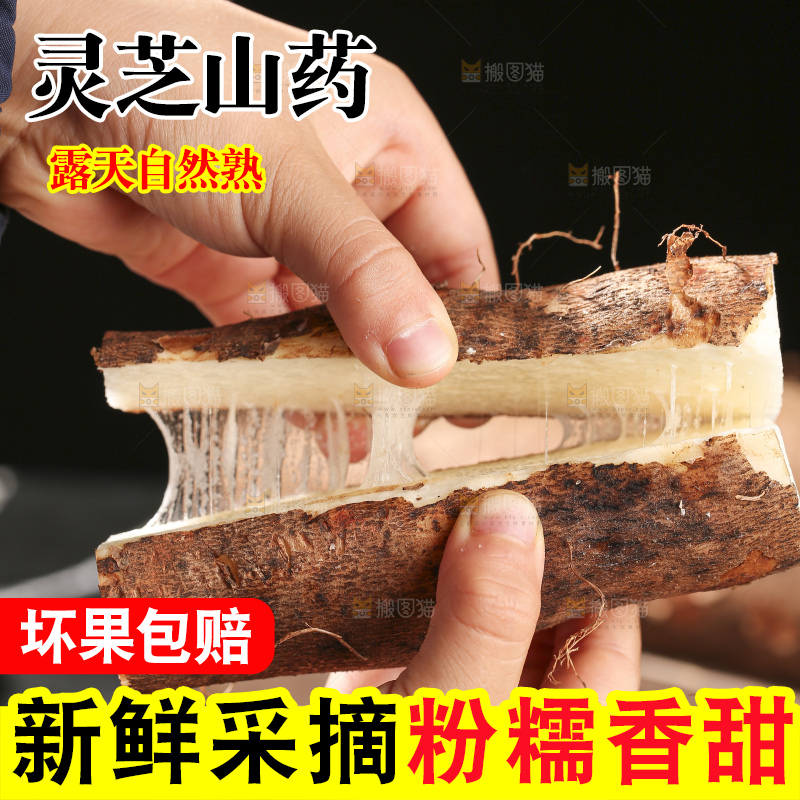 手里拉丝的灵芝山药