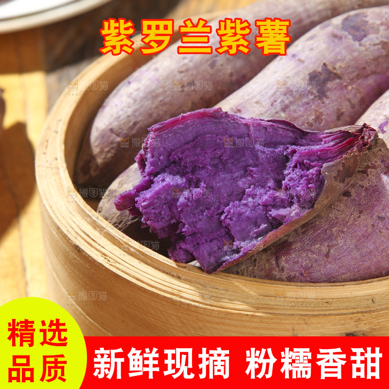 木底上的沙地紫薯