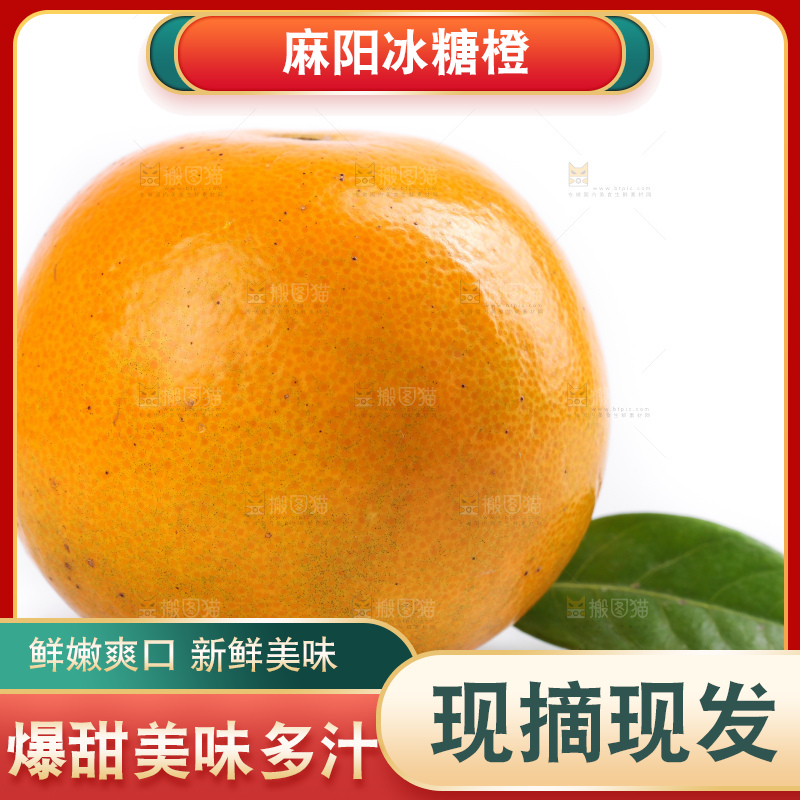 白底上的麻阳冰糖橙