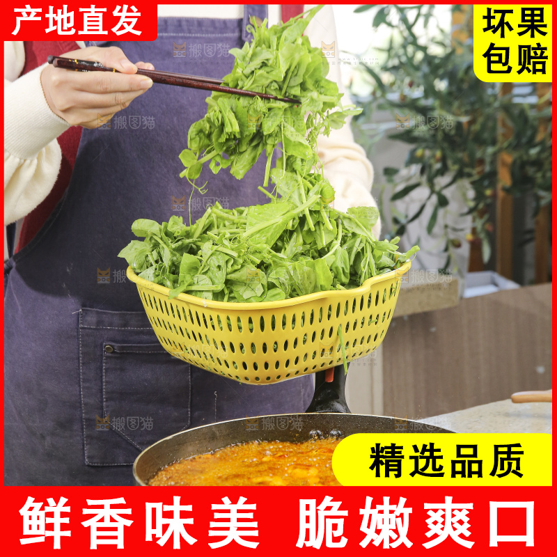 锅里的煮豌豆尖