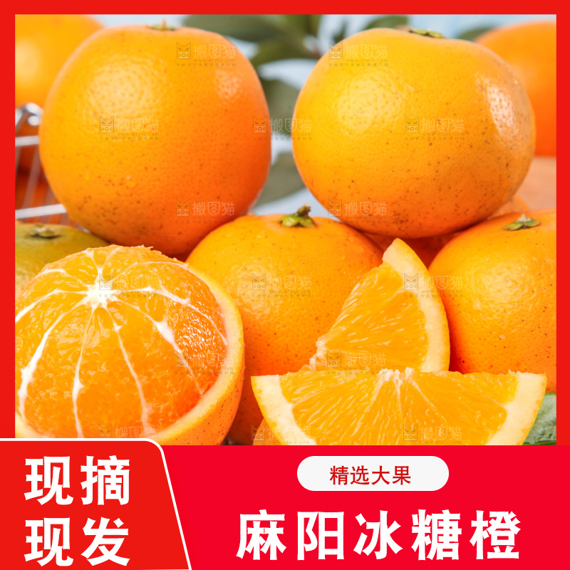 浅底上的麻阳冰糖橙