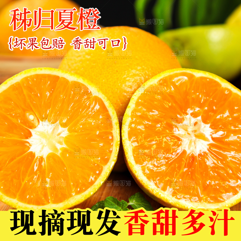 深底上放着夏橙