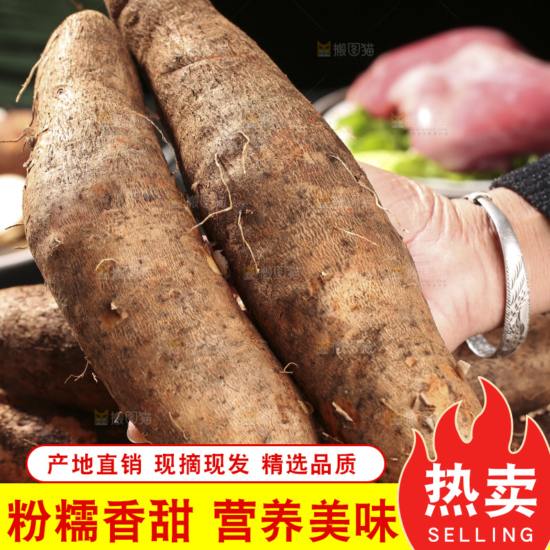 深底上放着灵芝山药